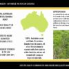 AusVita Health Manuka Honey MGO250+ 250G - Image 4