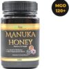 AusVita Health Manuka Honey MGO120+ 500g